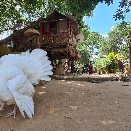 Humbhaha Jungle Yala Nature Eco Resort Kataragama Exteriör bild