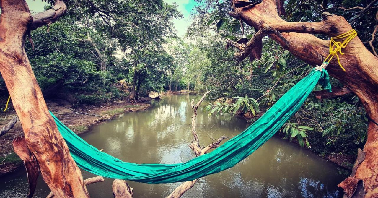 Humbhaha Jungle Yala Nature Eco Resort Kataragama Exteriör bild