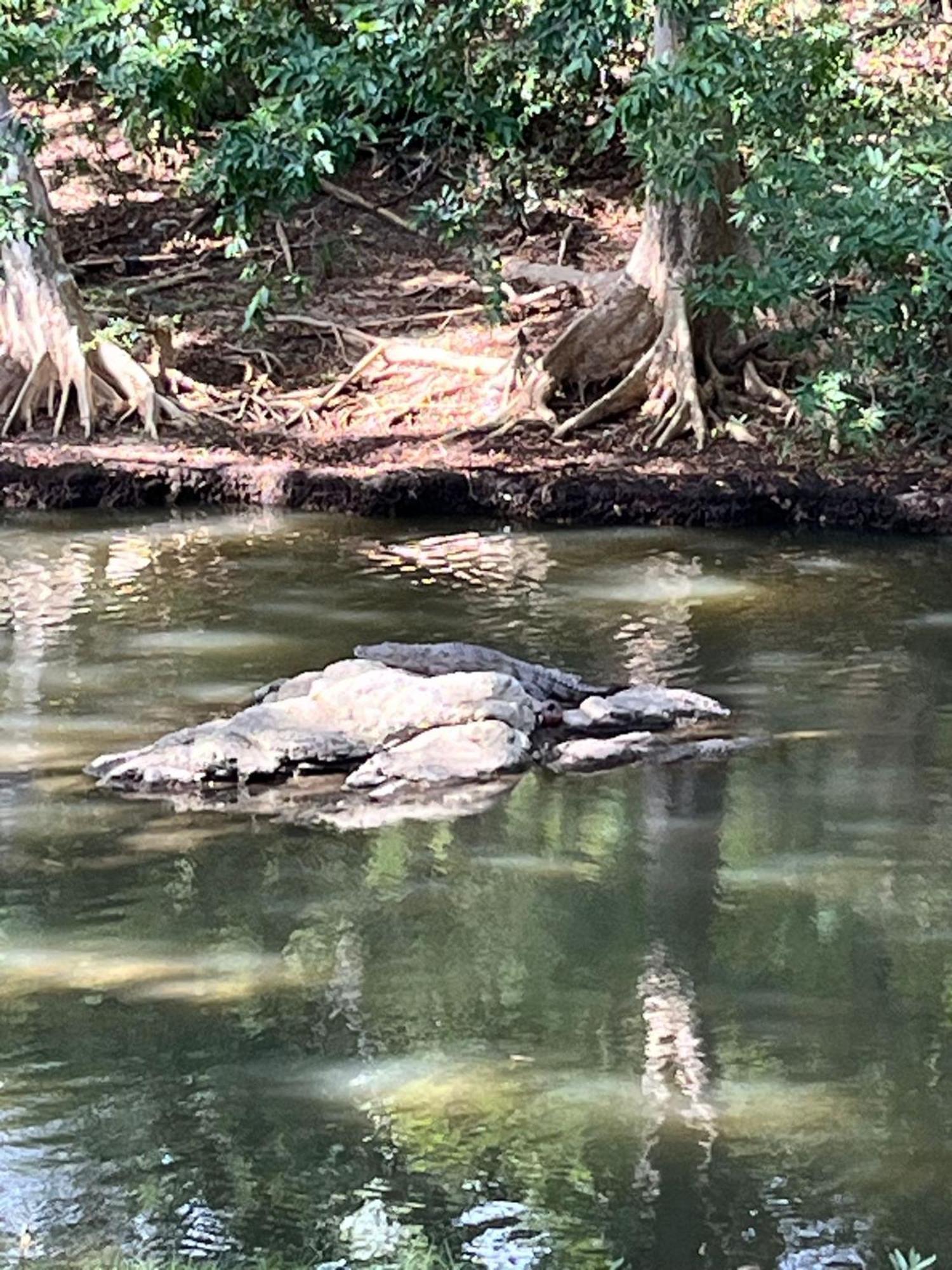 Humbhaha Jungle Yala Nature Eco Resort Kataragama Exteriör bild